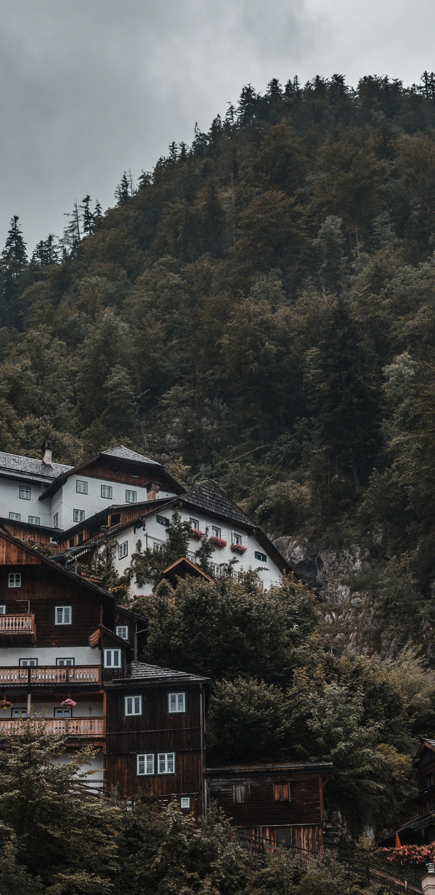 Обои зима, Альпы, природный ландшафт, Хаус, Венгрия в разрешении 1440x2960