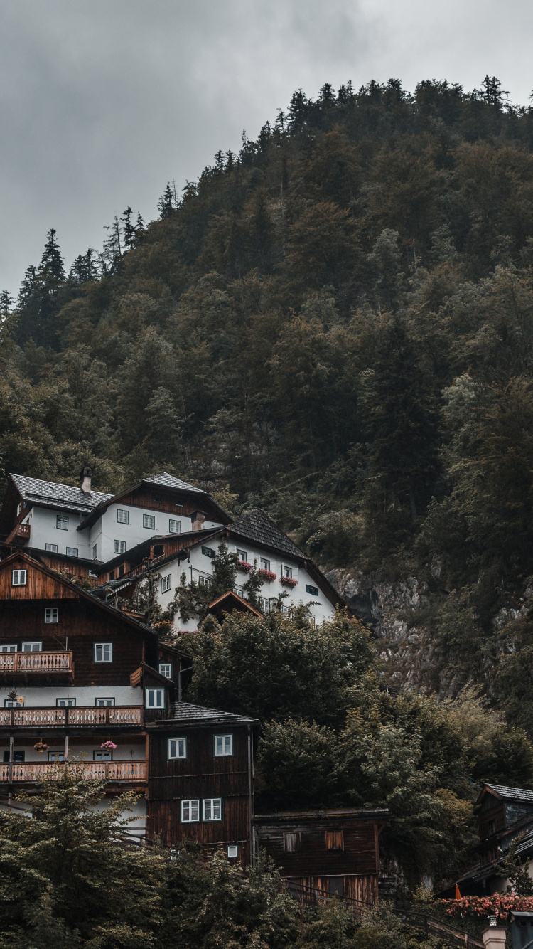 Обои зима, Альпы, природный ландшафт, Хаус, Венгрия в разрешении 750x1334