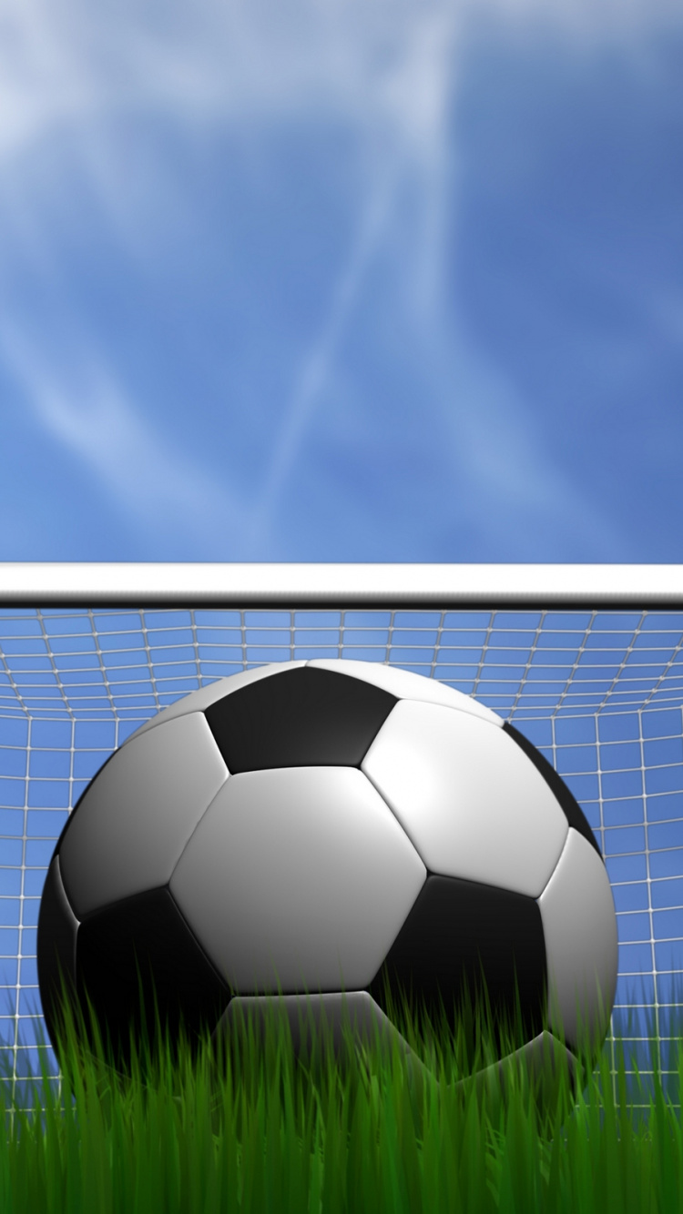 Обои мяч, футбол, дневное время, трава, энергия в разрешении 750x1334