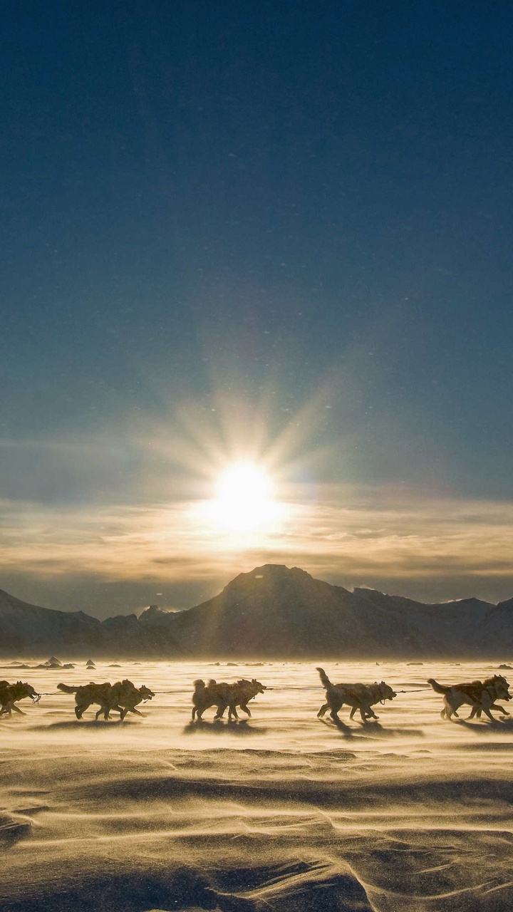 Обои Национальный Парк Северо-Восточной Гренландии, В Ittoqqortoormiit, национальный парк, горизонт, зима в разрешении 720x1280