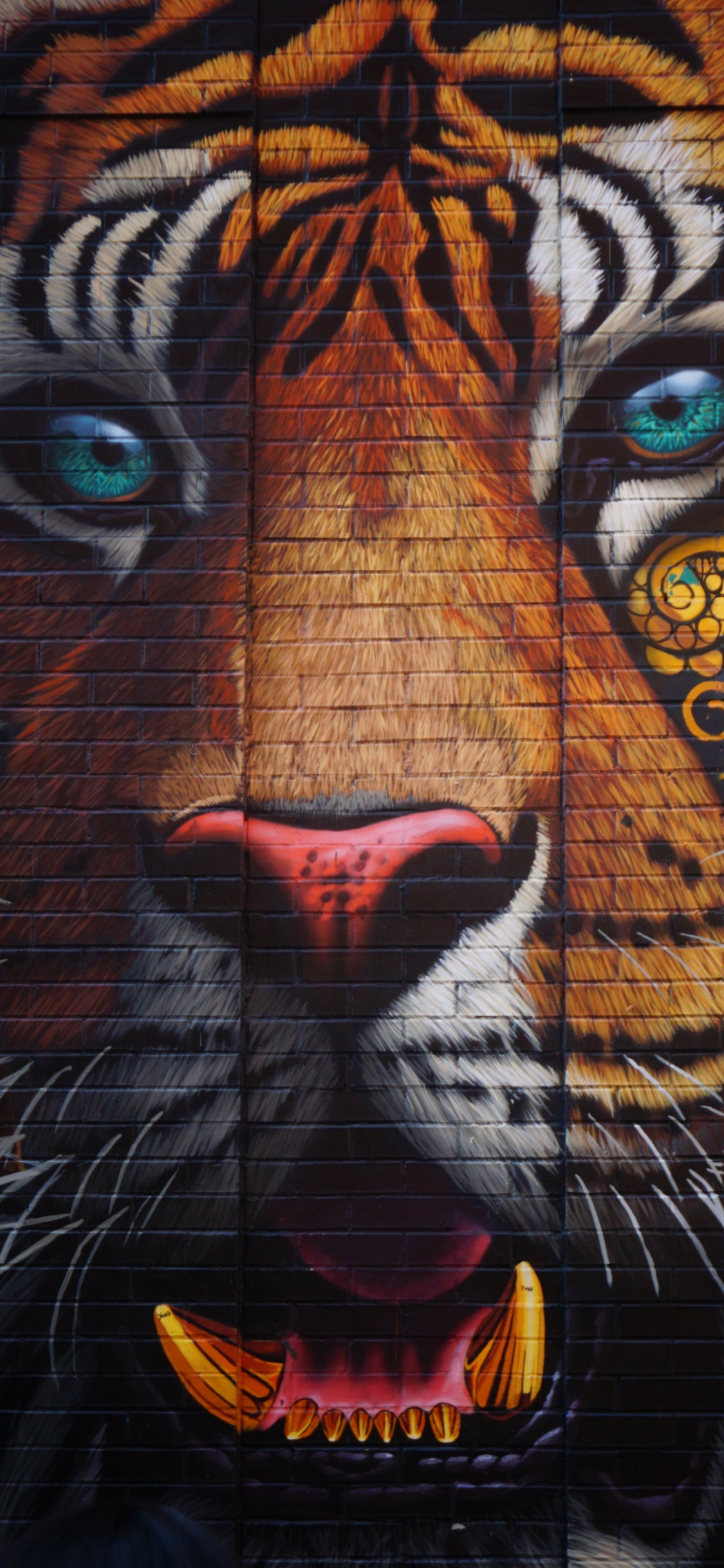 Обои уличное искусство, граффити, тигр, живопись, арт в разрешении 1125x2436