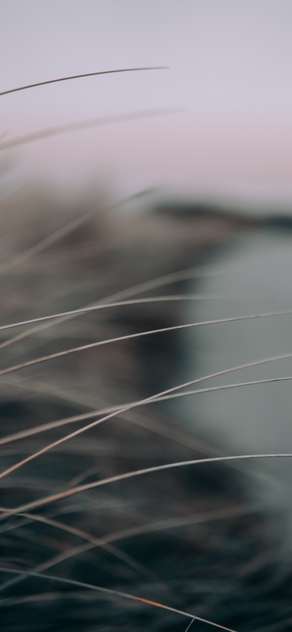 Обои черный и белый, небо, крупный план, атмосфера, макро в разрешении 1125x2436