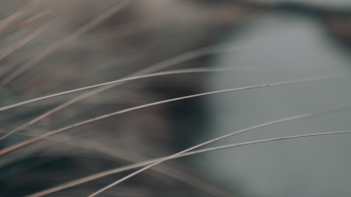 Обои черный и белый, небо, крупный план, атмосфера, макро в разрешении 1366x768