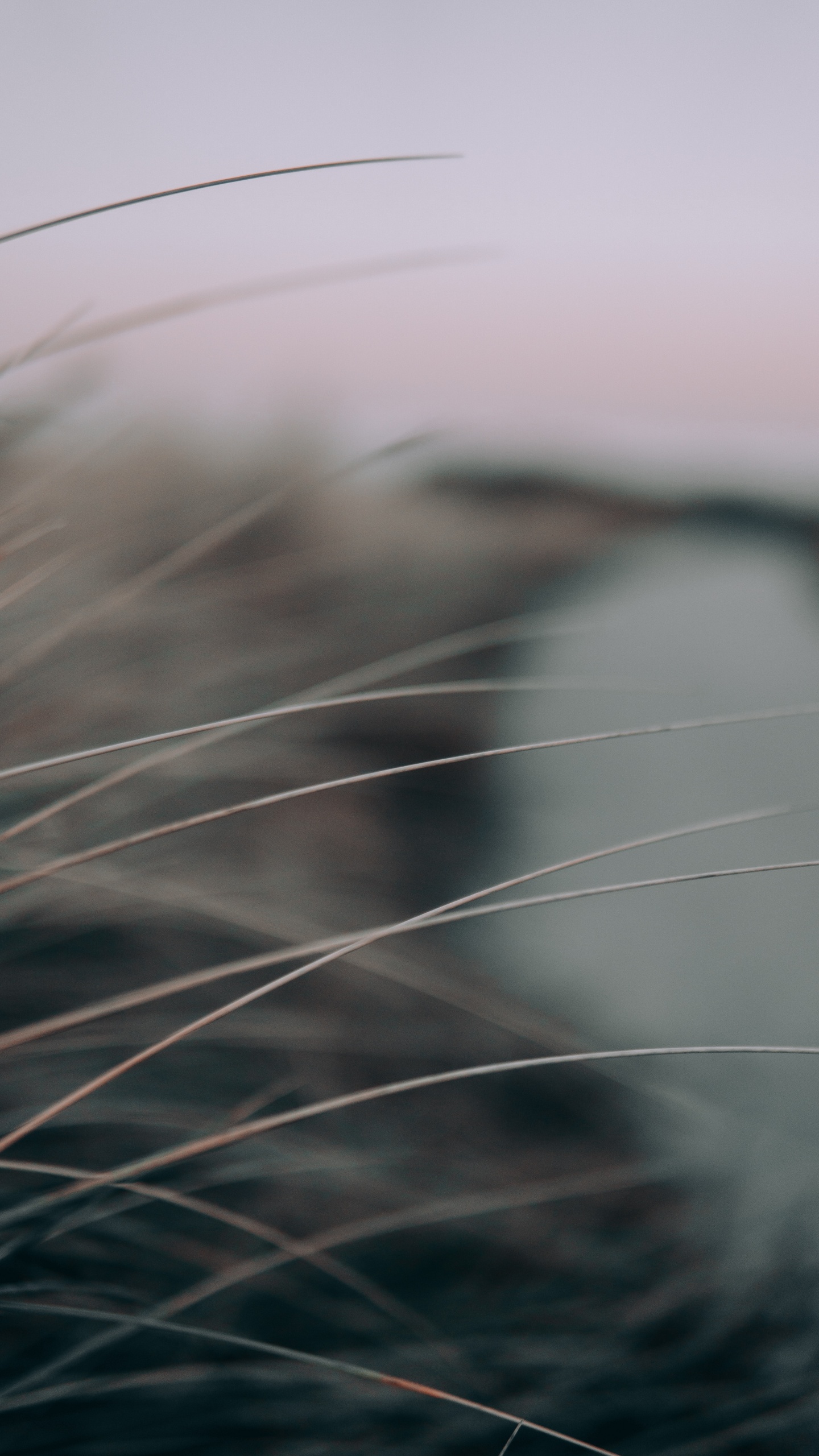 Обои черный и белый, небо, крупный план, атмосфера, макро в разрешении 1440x2560