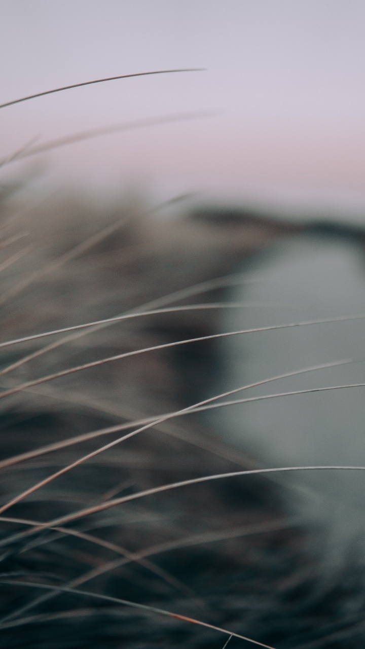 Обои черный и белый, небо, крупный план, атмосфера, макро в разрешении 720x1280