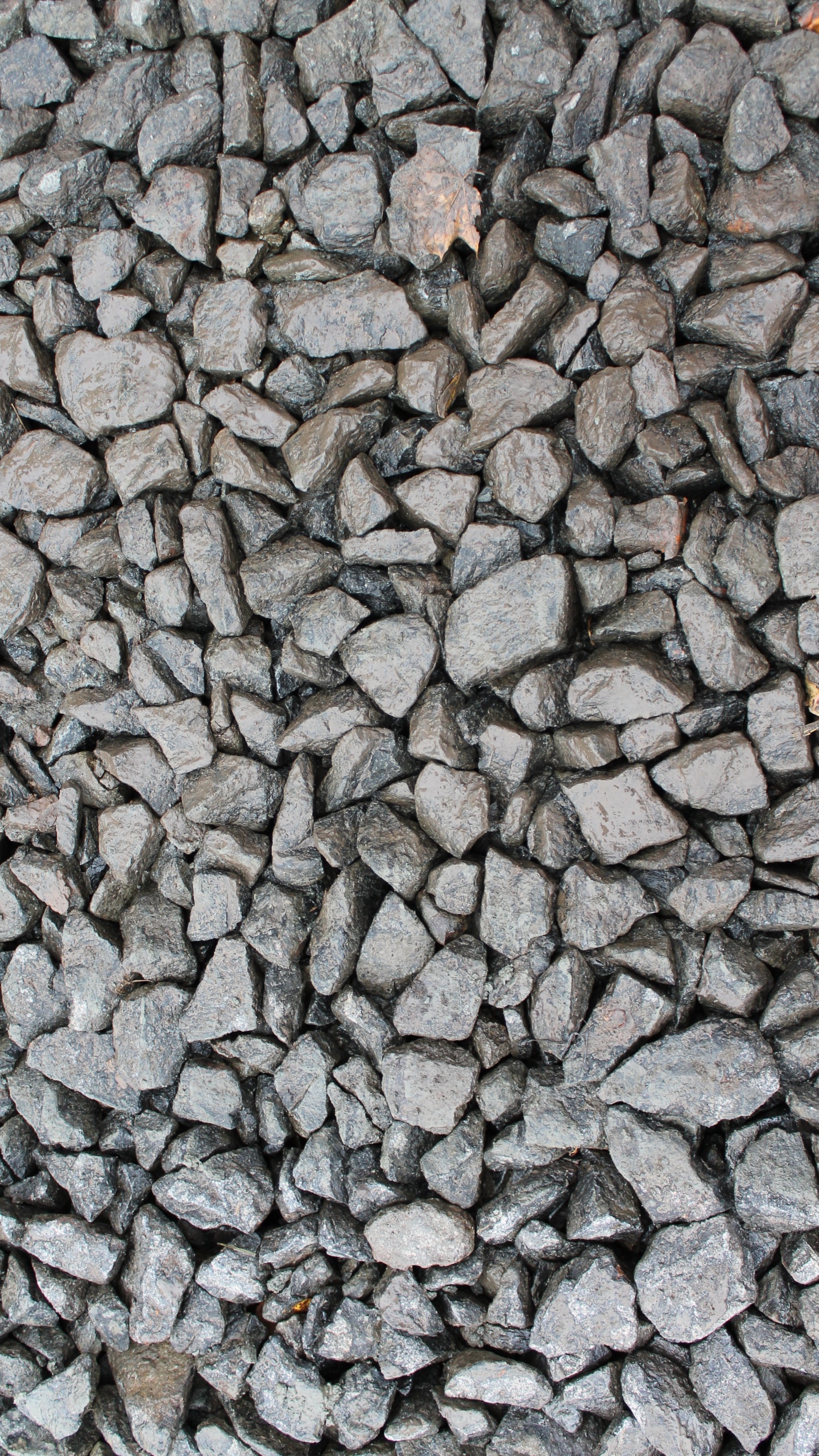 Обои каменная стена, камень, гранит, рок, гравий в разрешении 1440x2560