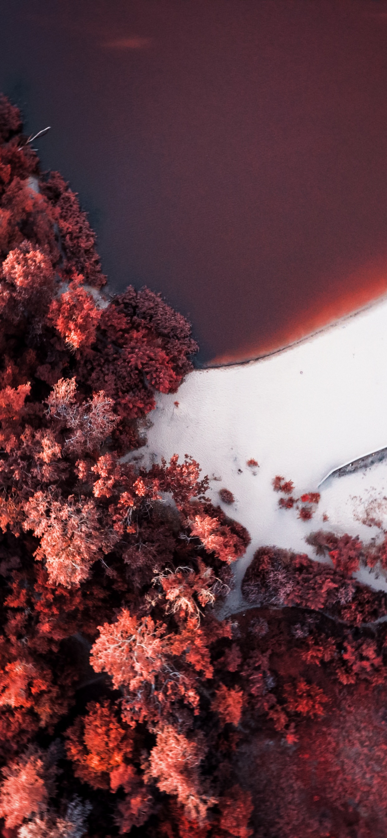 Обои soundcloud, Оранжевый цвет, прут, природный ландшафт, красный цвет в разрешении 1242x2688