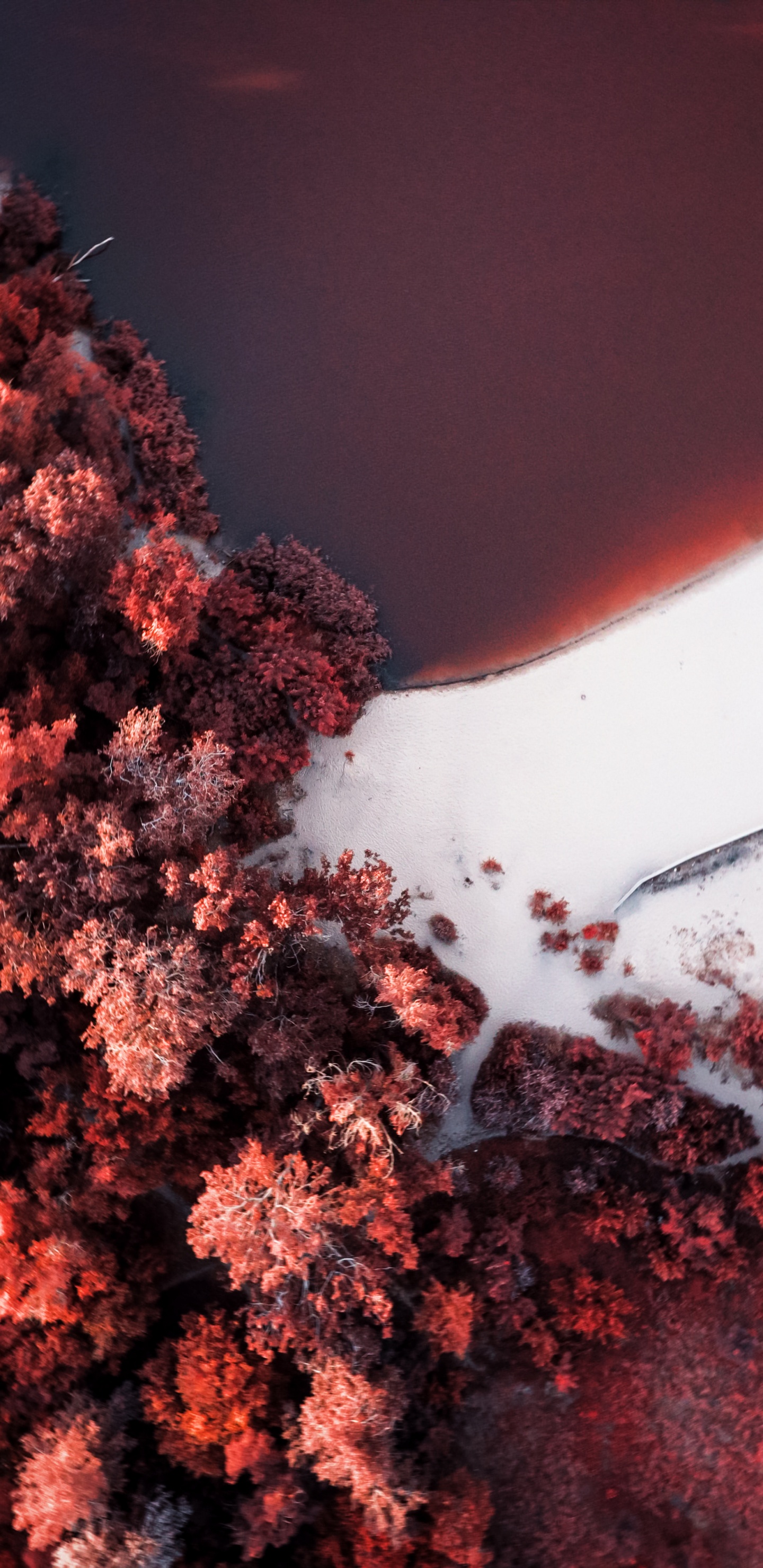 Обои soundcloud, Оранжевый цвет, прут, природный ландшафт, красный цвет в разрешении 1440x2960