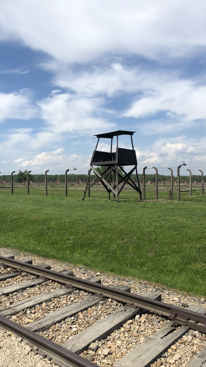 Обои трек, железнодорожный транспорт, железнодорожный вагон, дневное время, древесина в разрешении 720x1280