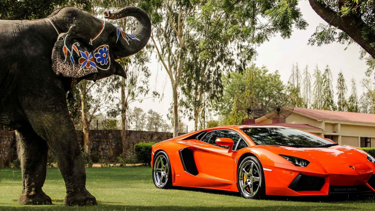 Обои Ламборджини, спорткар, Ламборгини авентадор, суперкар, Ламборджини Авентадор в разрешении 1280x720