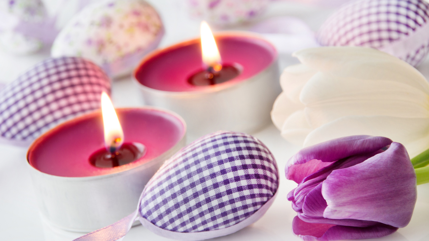 Обои тюльпаны, цветок, свеча, лепесток, издание в разрешении 1366x768