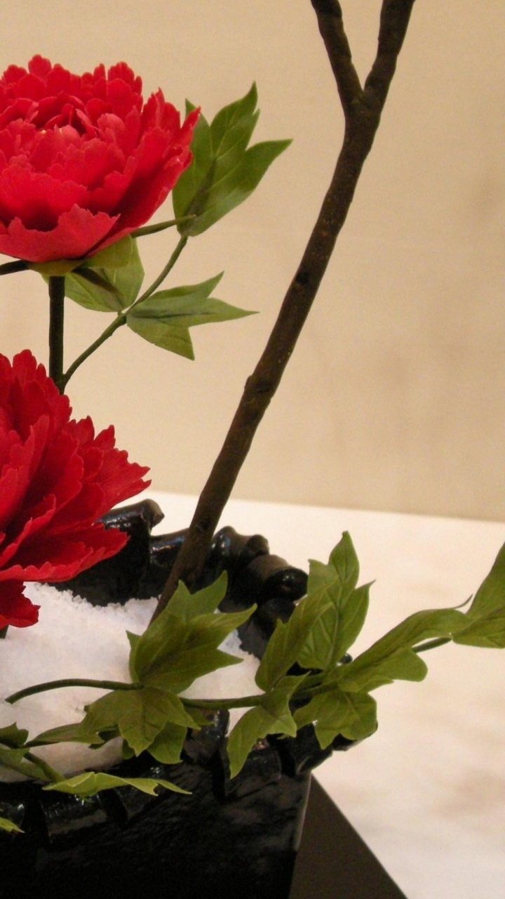 Обои икебана, цветочный дизайн, срезанные цветы, цветковое растение, флористика в разрешении 720x1280