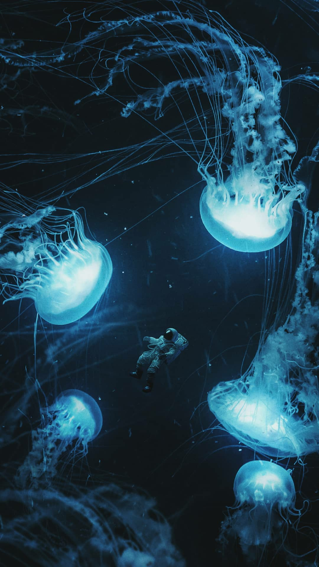 Обои медуза с львиной гривой, голубая медуза, Медуза, эверпикс, вода в разрешении 1080x1920