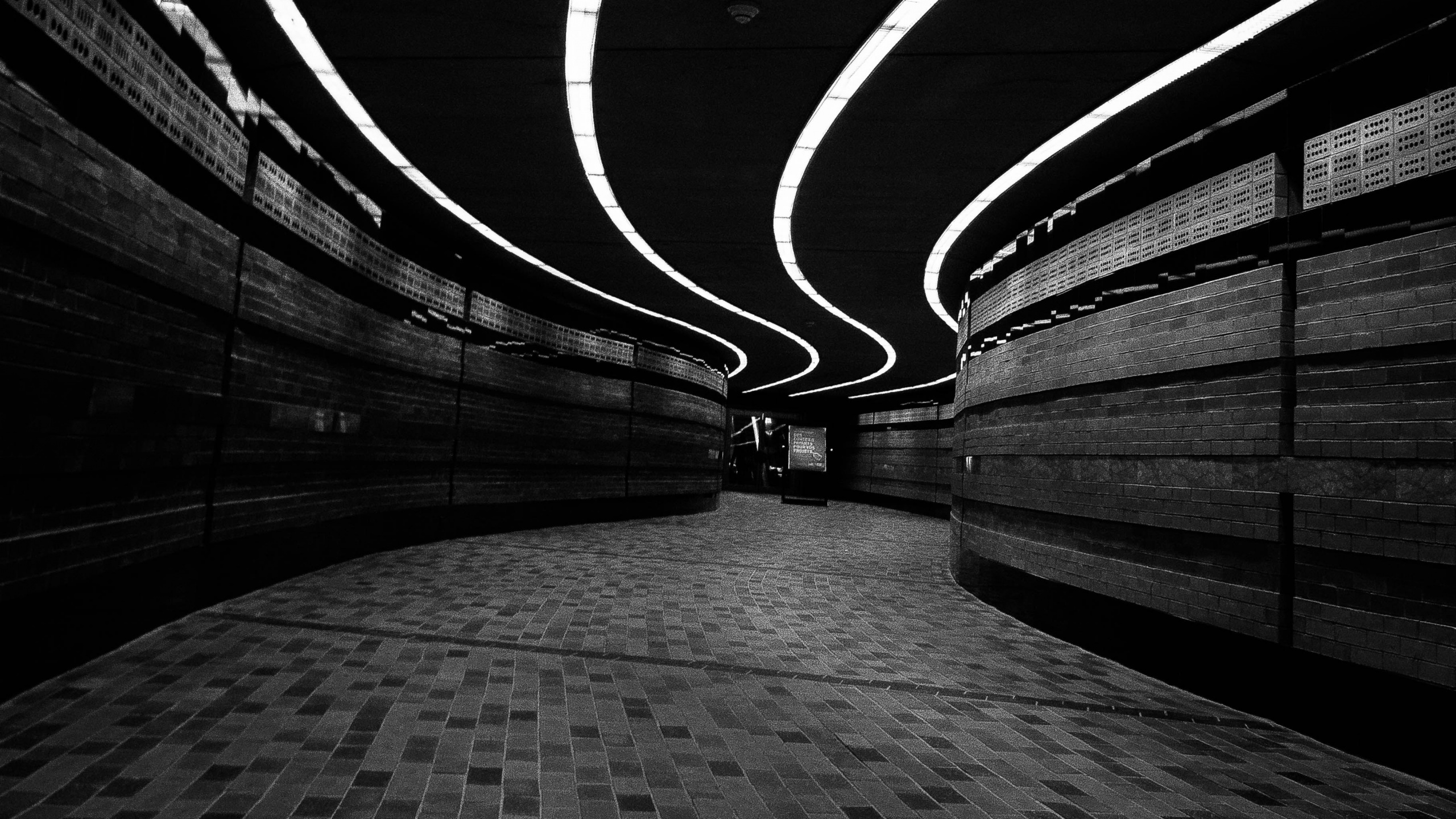 Обои темное дело, черный и белый, темнота, черный, белые в разрешении 2560x1440