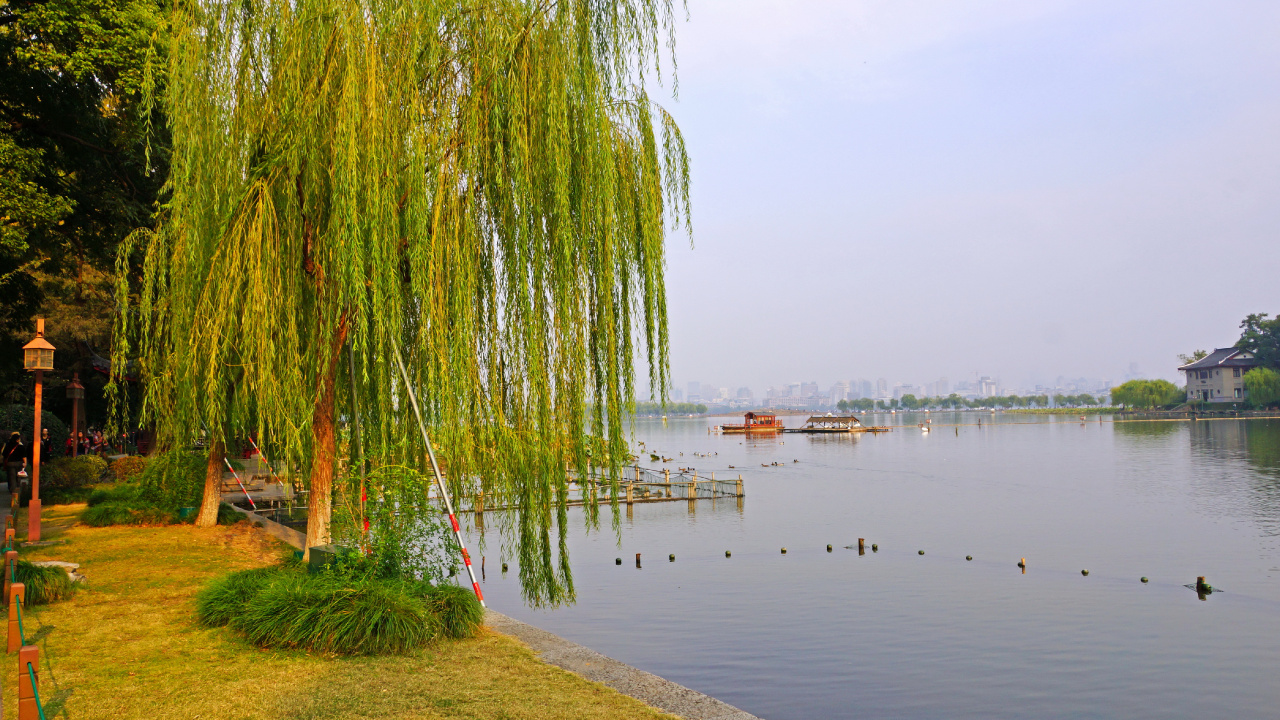 Обои ива, дерево, реки, парк, Китай в разрешении 1280x720