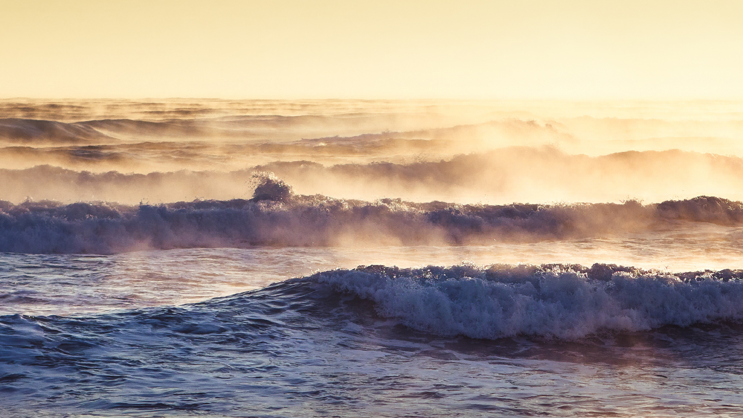 Обои волна, ветровая волна, море, океан, горизонт в разрешении 2560x1440