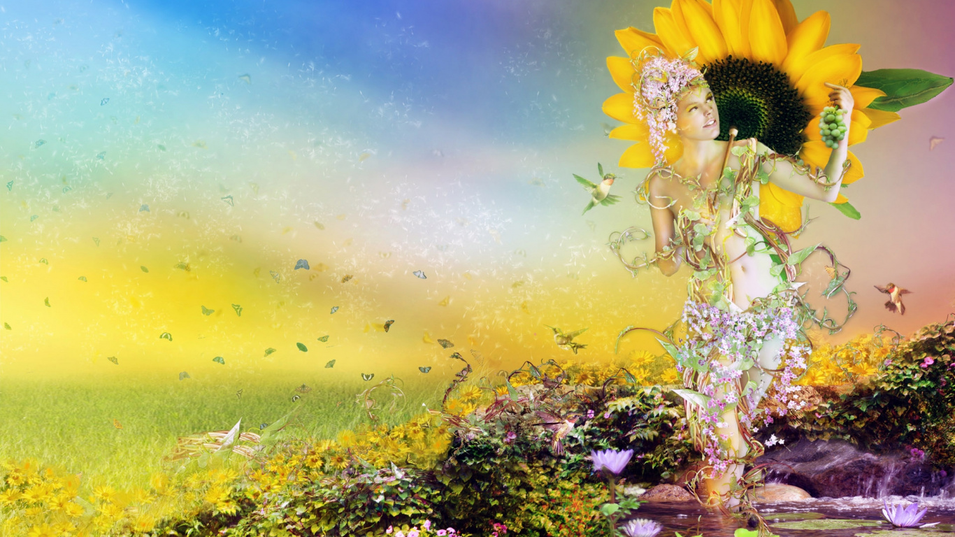 Обои природа, желтый, полевой цветок, подсолнух, сезон в разрешении 1366x768