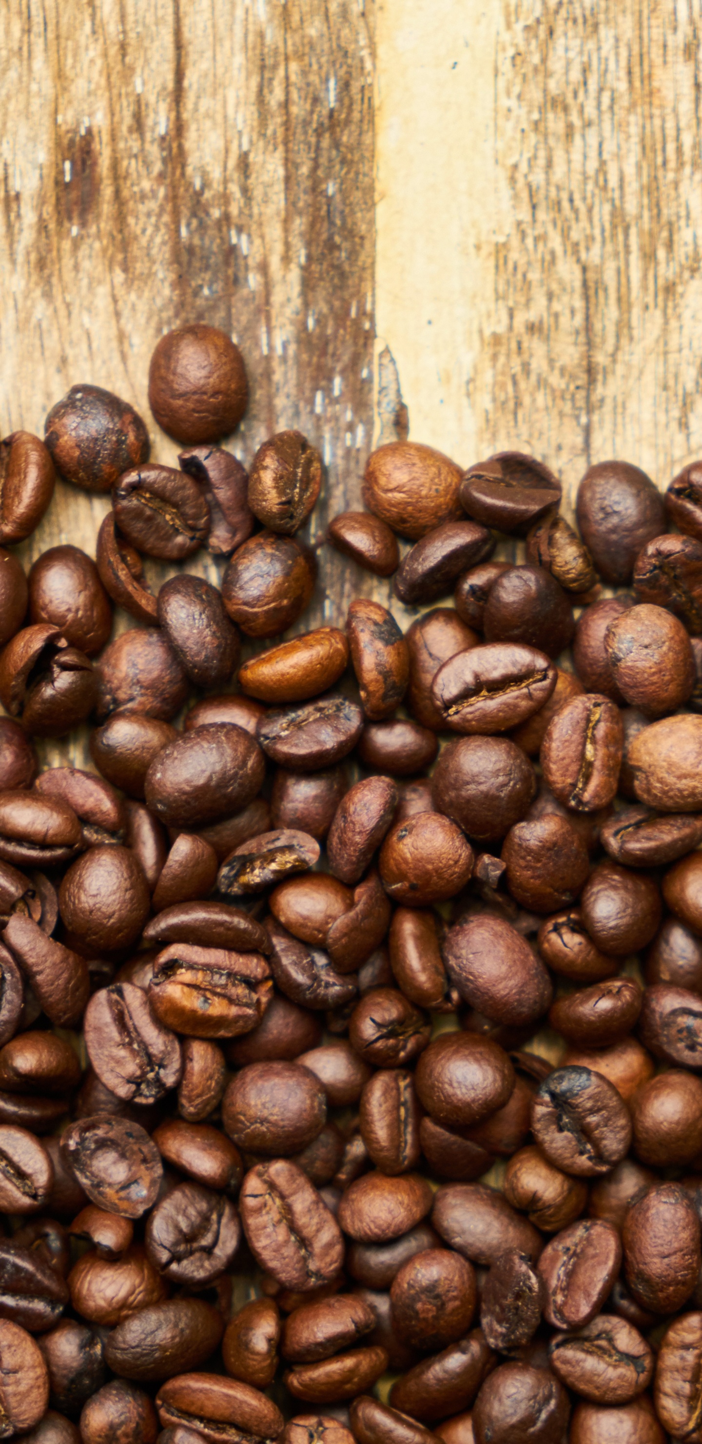 Обои кофе, кофейное зерно, Кона кофе, ямайский кофе Блю Маунтин, кофеин в разрешении 1440x2960