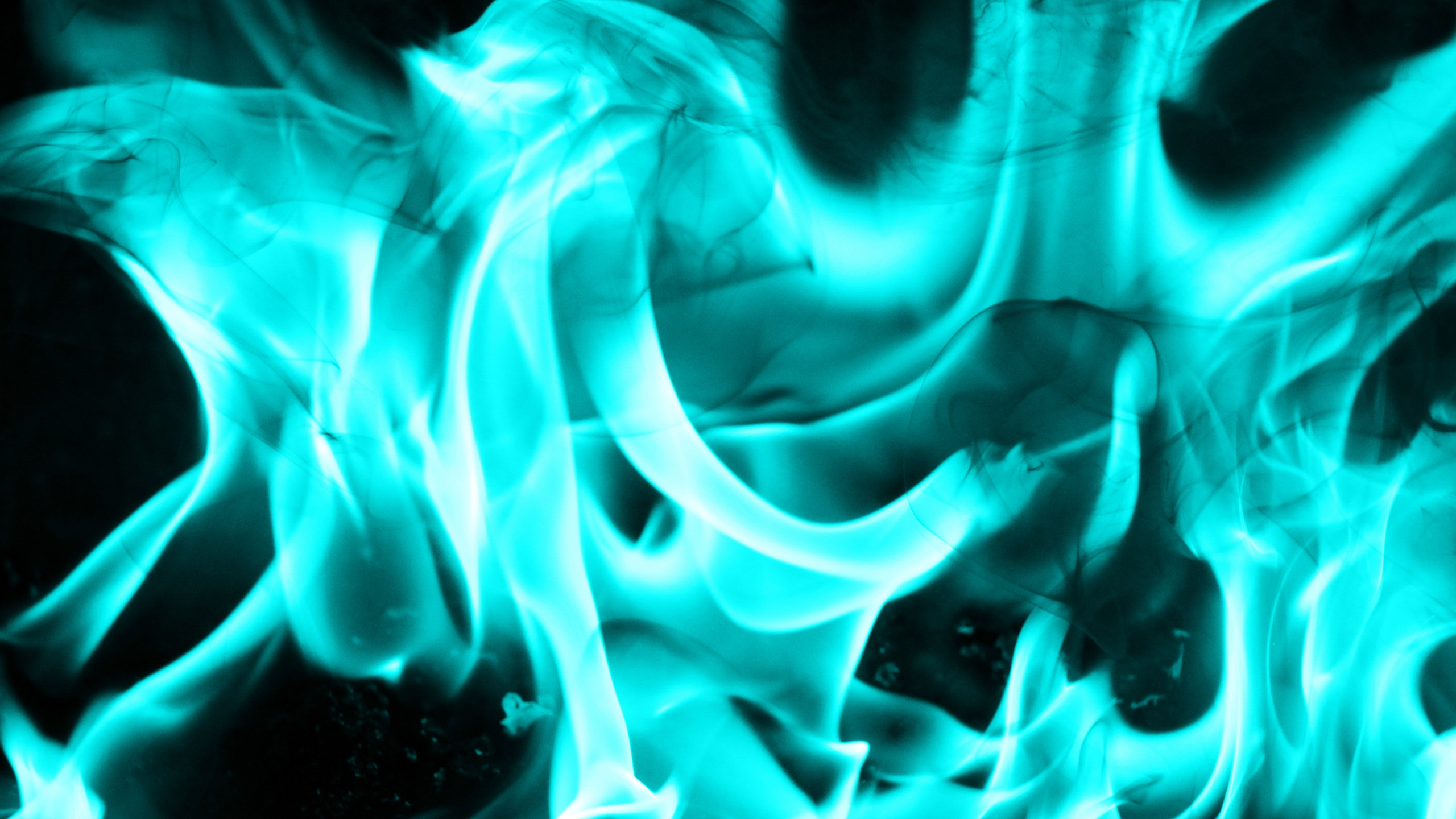 Обои холодное пламя, пламя, огонь, синий, зеленый в разрешении 2560x1440