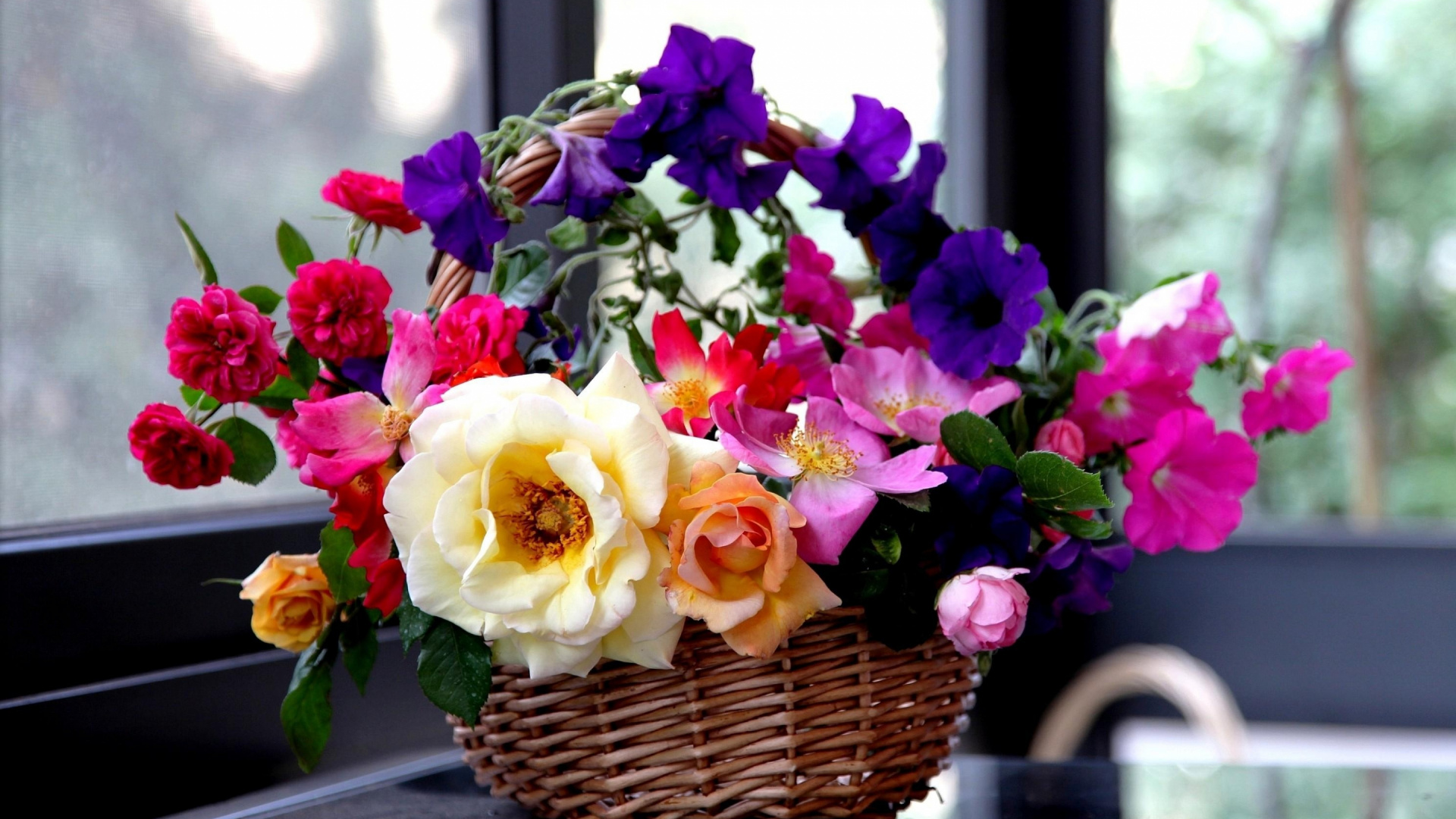 Обои Роза, корзина, плетеные, цветковое растение, цветочный дизайн в разрешении 1920x1080