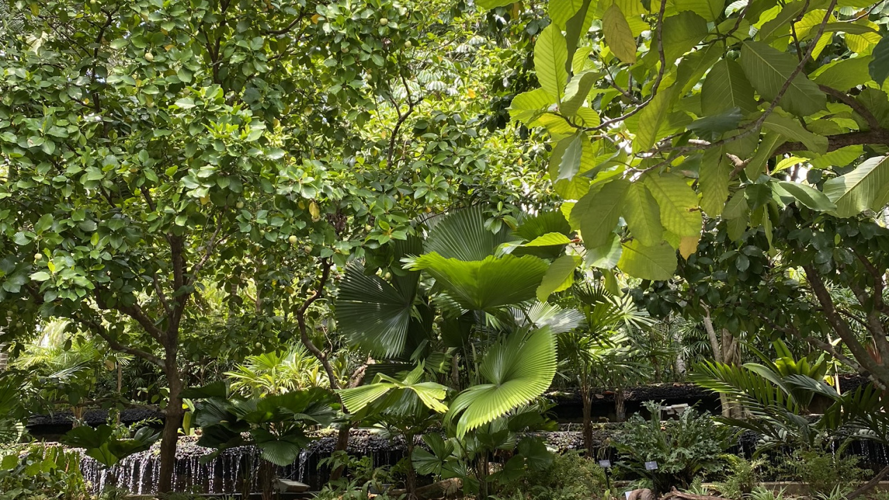 Обои вода, тугай, растительность, лист, гидроресурсы в разрешении 1280x720