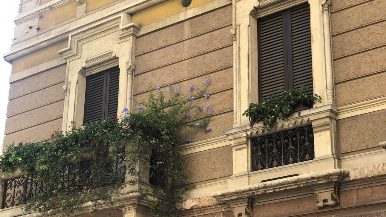 Обои ориентир, классическая архитектура, фасад, свойство, стена в разрешении 1280x720