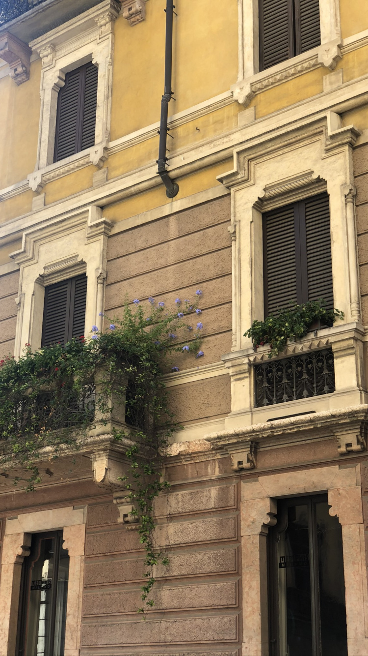 Обои ориентир, классическая архитектура, фасад, свойство, стена в разрешении 750x1334