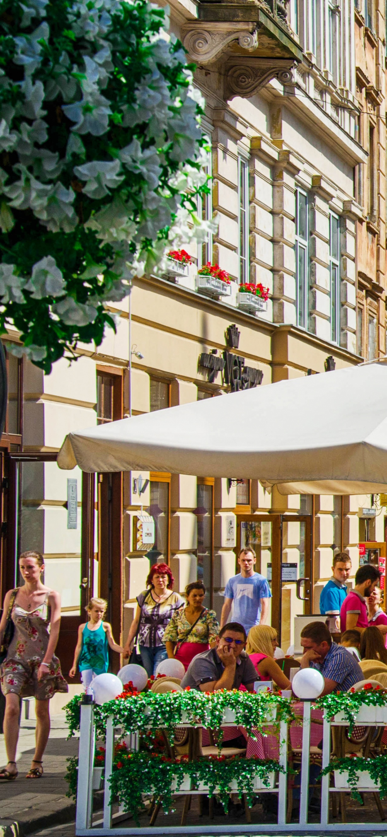 Обои Львов, соседство, улица, город, дерево в разрешении 1242x2688