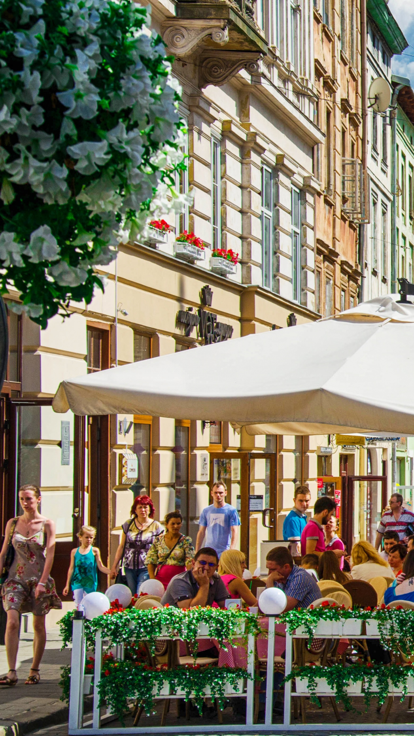 Обои Львов, соседство, улица, город, дерево в разрешении 1440x2560