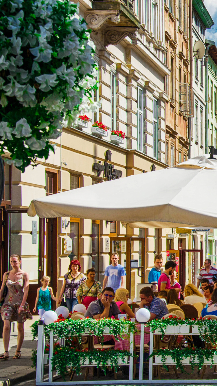 Обои Львов, соседство, улица, город, дерево в разрешении 750x1334