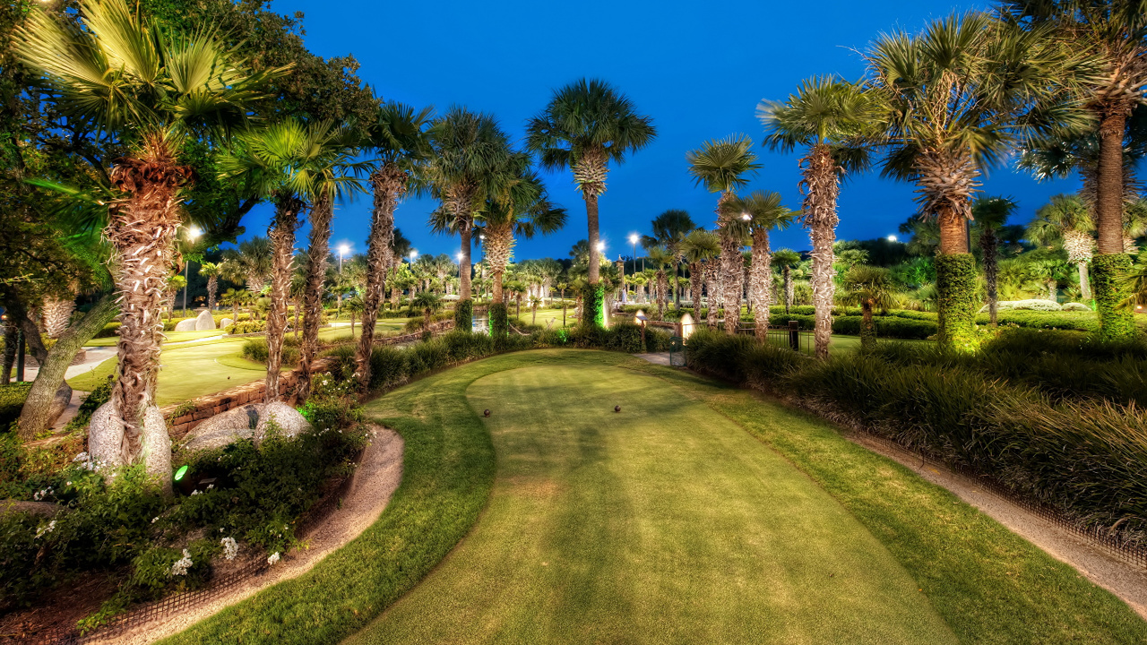 Обои природа, дерево, Пальма, имущество, завод в разрешении 1280x720