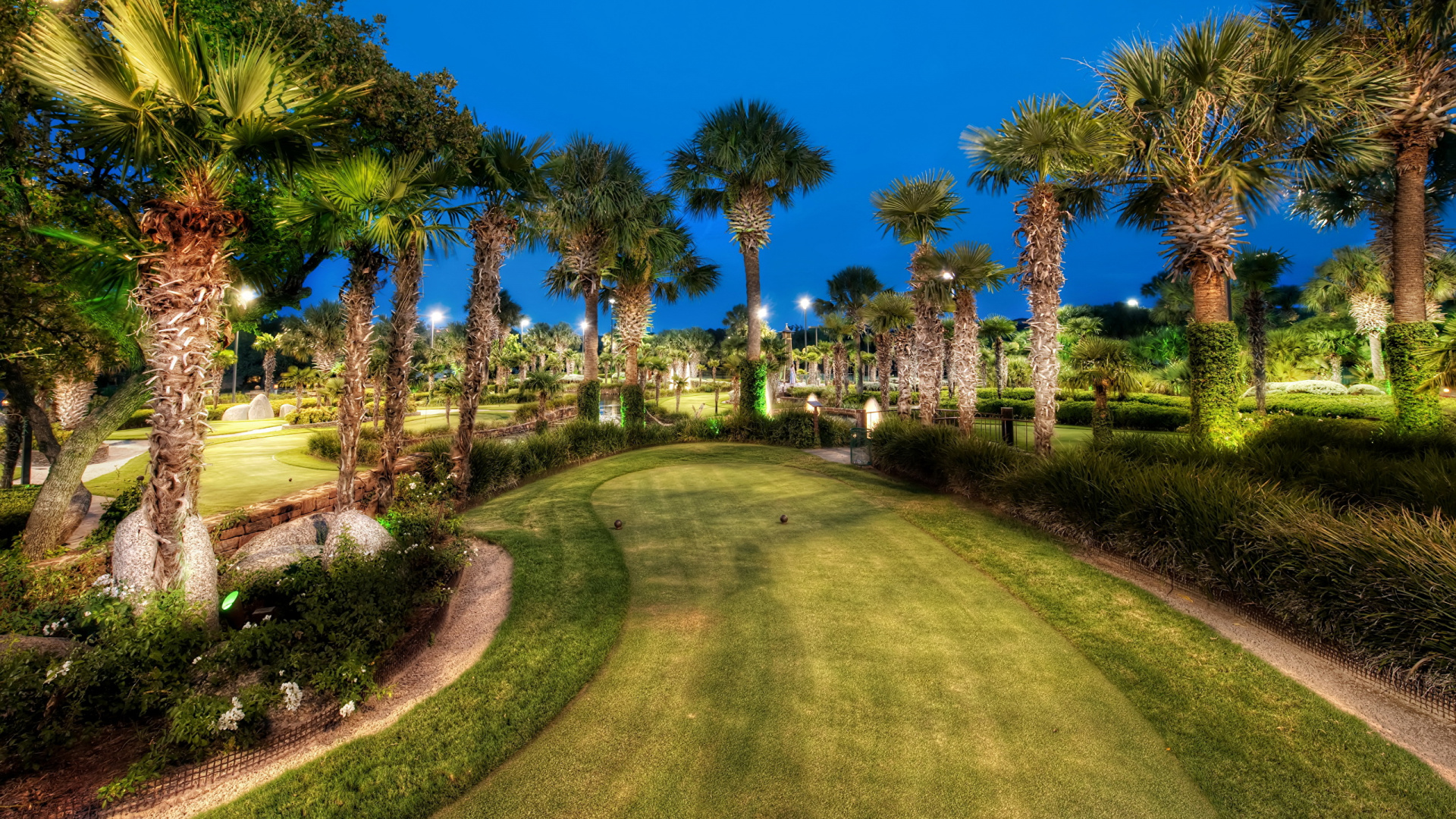 Обои природа, дерево, Пальма, имущество, завод в разрешении 1920x1080