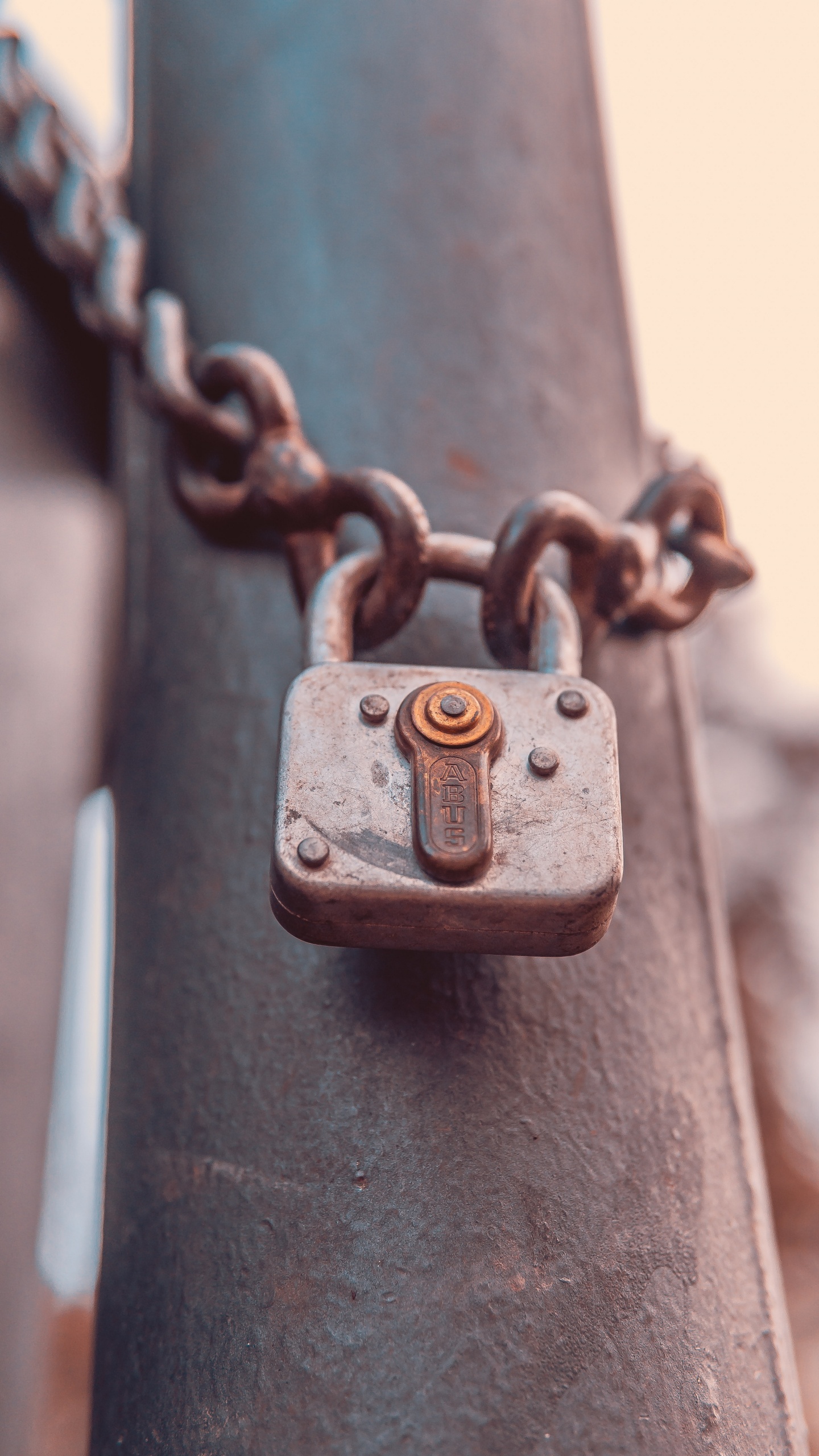 Обои кожа, ожерелье, медь, Что-то, ювелирные изделия в разрешении 1440x2560