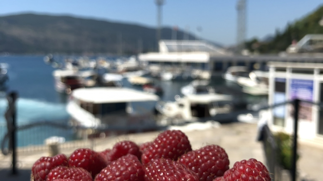 Обои фрукты, пища, природные продукты, продукция, бойзеновой ягоды в разрешении 1280x720