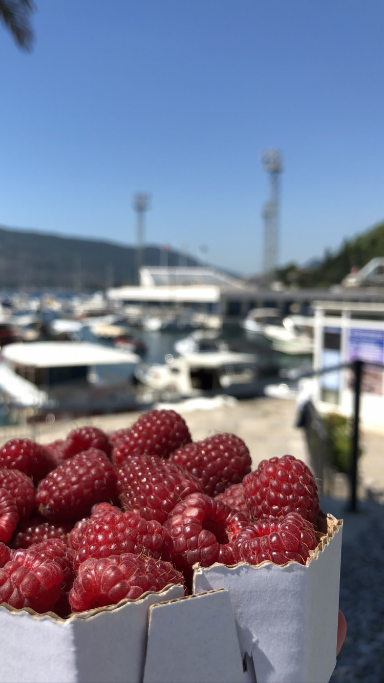 Обои фрукты, пища, природные продукты, продукция, бойзеновой ягоды в разрешении 750x1334