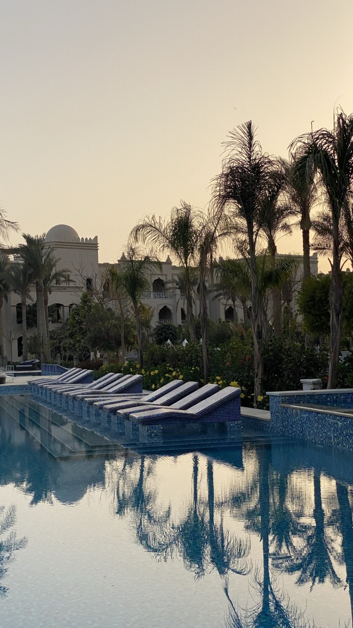 Обои отражение, вода, растение, здание, плавательный бассейн в разрешении 720x1280