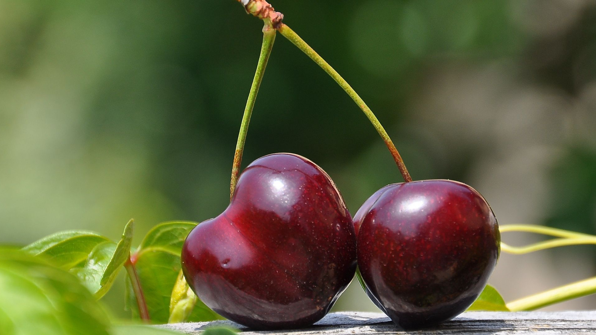 Обои парные предметы, вишня, фрукты, летние фрукты, свежая вишня в разрешении 1920x1080