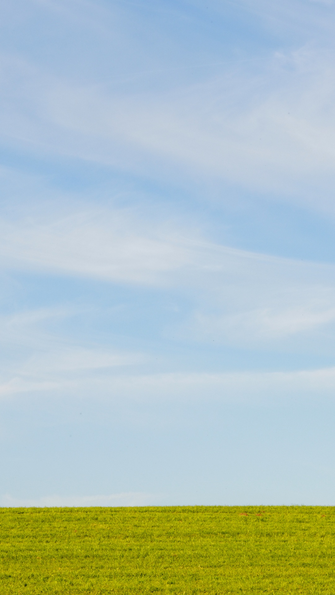 Обои равнина, урожай, кучевое облако, небо, синий в разрешении 1080x1920