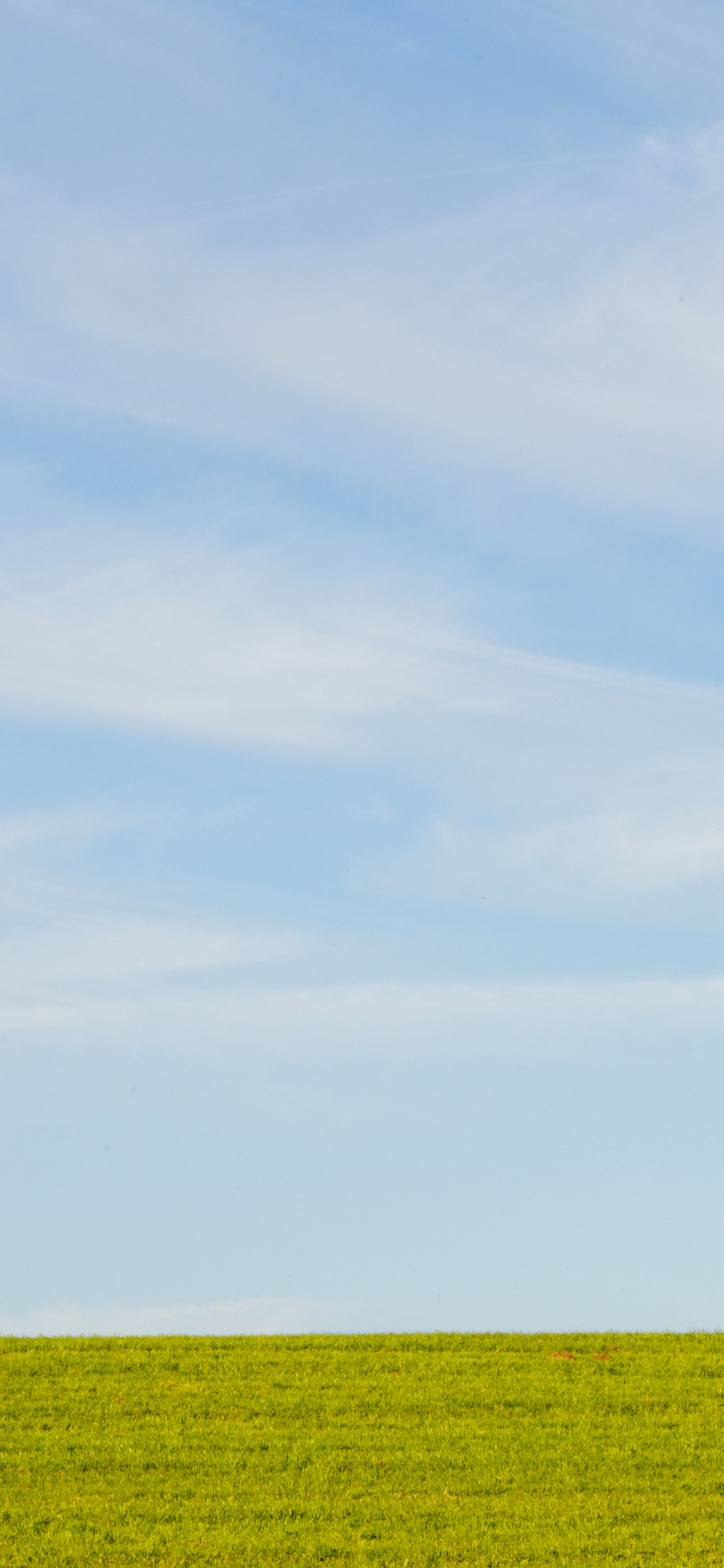 Обои равнина, урожай, кучевое облако, небо, синий в разрешении 1125x2436