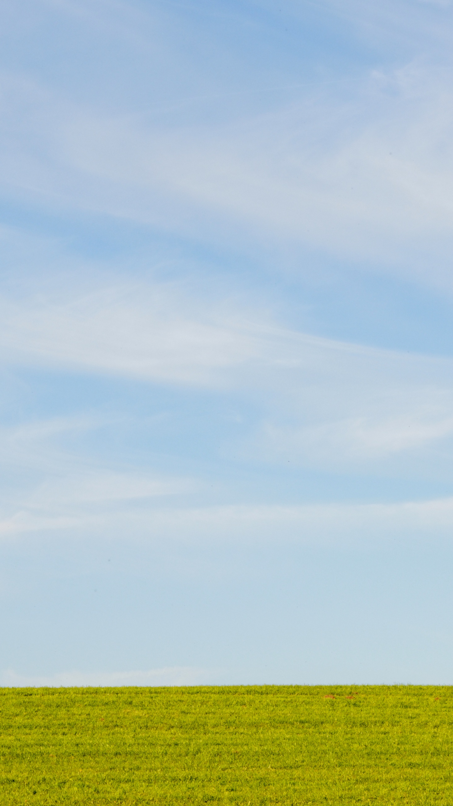 Обои равнина, урожай, кучевое облако, небо, синий в разрешении 1440x2560