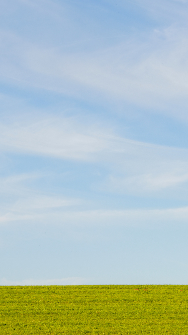 Обои равнина, урожай, кучевое облако, небо, синий в разрешении 750x1334