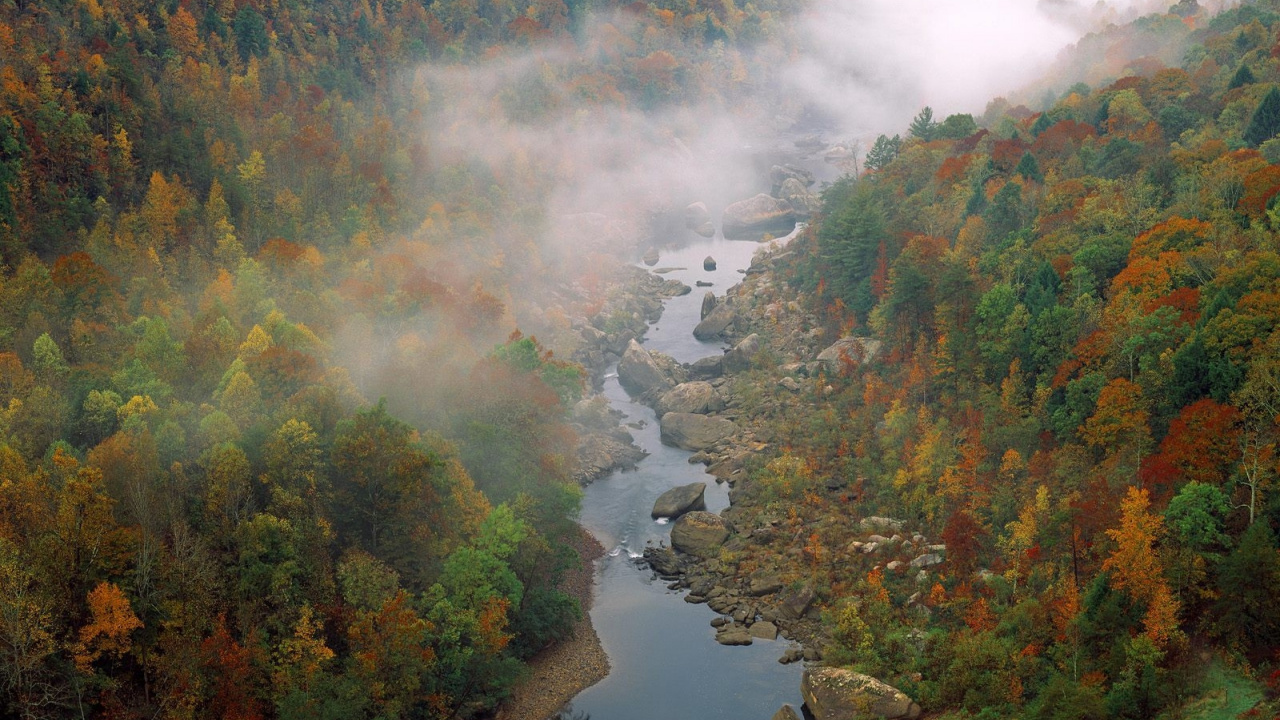 Обои реки, реки камберленд, природа, вода, лист в разрешении 1280x720