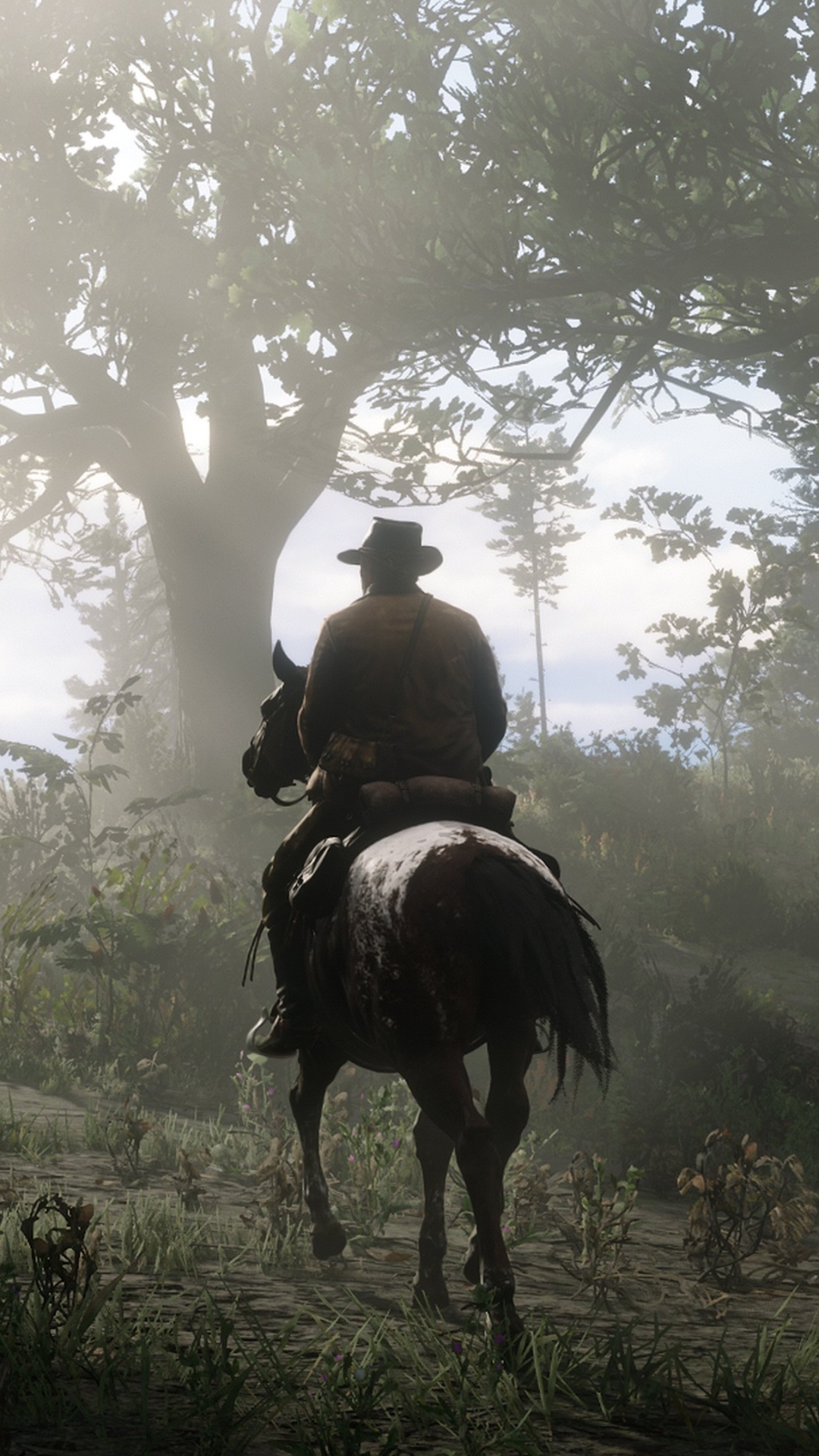 Red dead redemption 2 обои для Андроид Full HD, лучшие 1080x1920 заставки  на телефон | Akspic