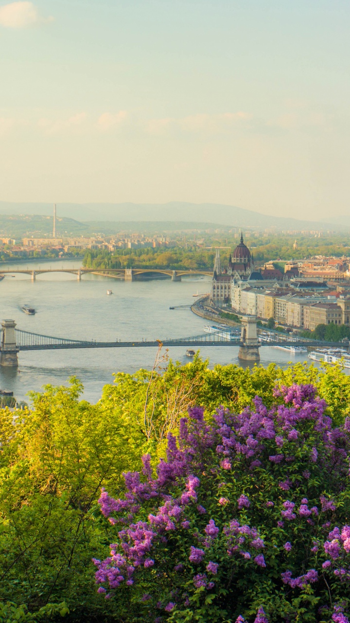 Обои узкий цепной мост, река Дунай, НьюЙорк, Греция, цветок в разрешении 720x1280