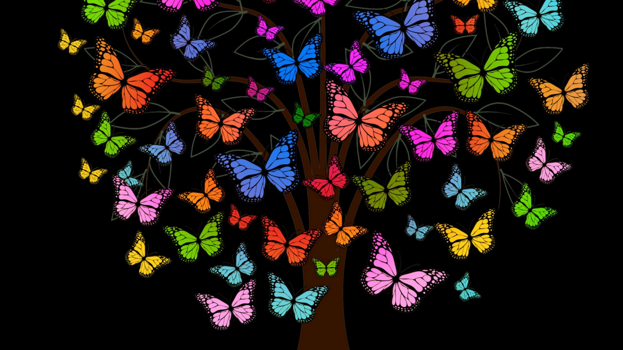 Обои бабочка, лист, дизайн, мотыльки и бабочки, рубашка в разрешении 1280x720