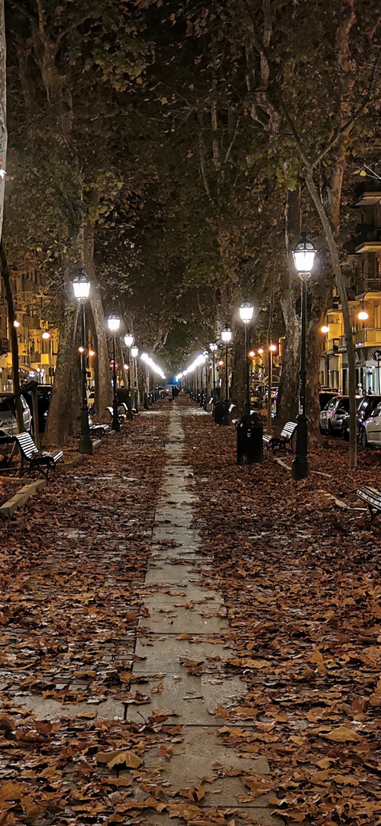 Обои ночь, уличный фонарь, дорожное покрытие, лист, растение в разрешении 1242x2688