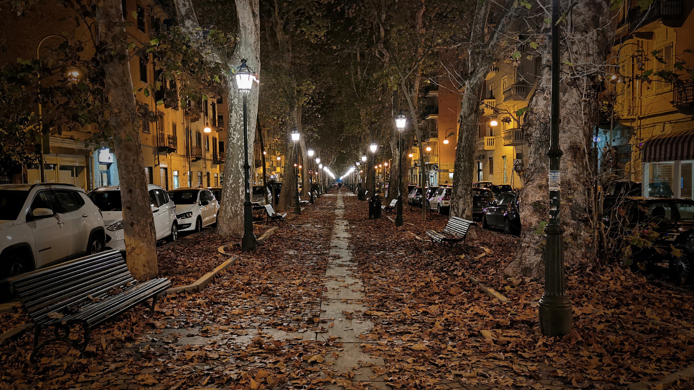 Обои ночь, уличный фонарь, дорожное покрытие, лист, растение в разрешении 1366x768