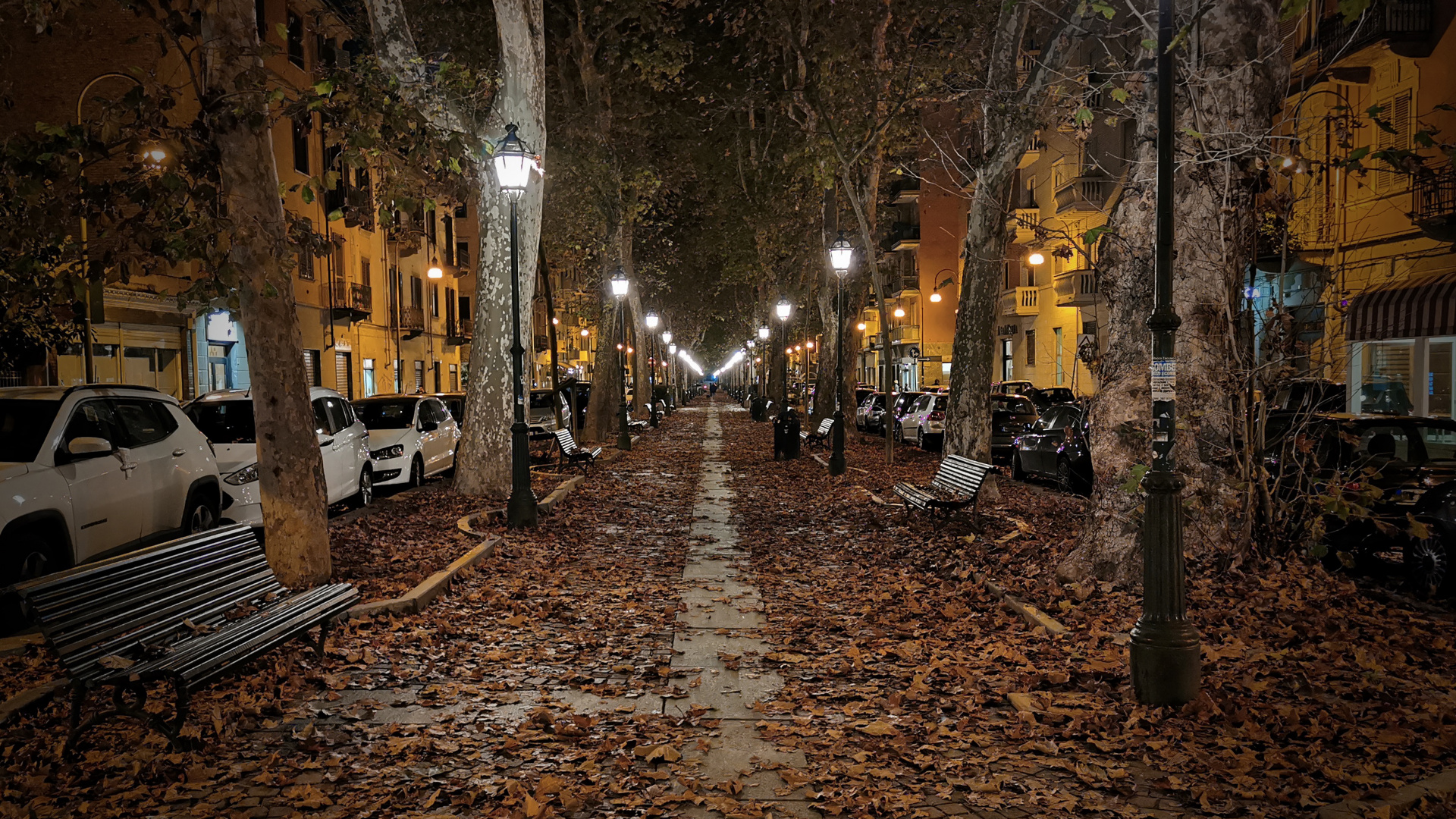 Обои ночь, уличный фонарь, дорожное покрытие, лист, растение в разрешении 1920x1080