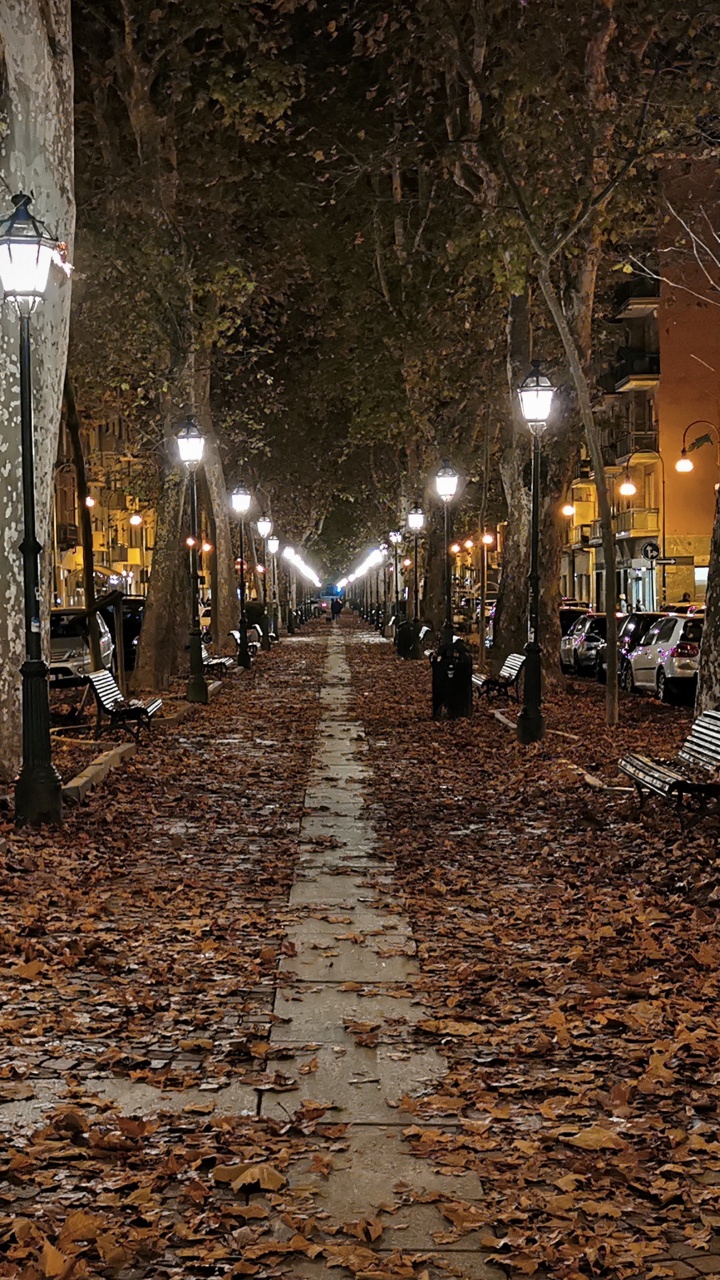 Обои ночь, уличный фонарь, дорожное покрытие, лист, растение в разрешении 720x1280