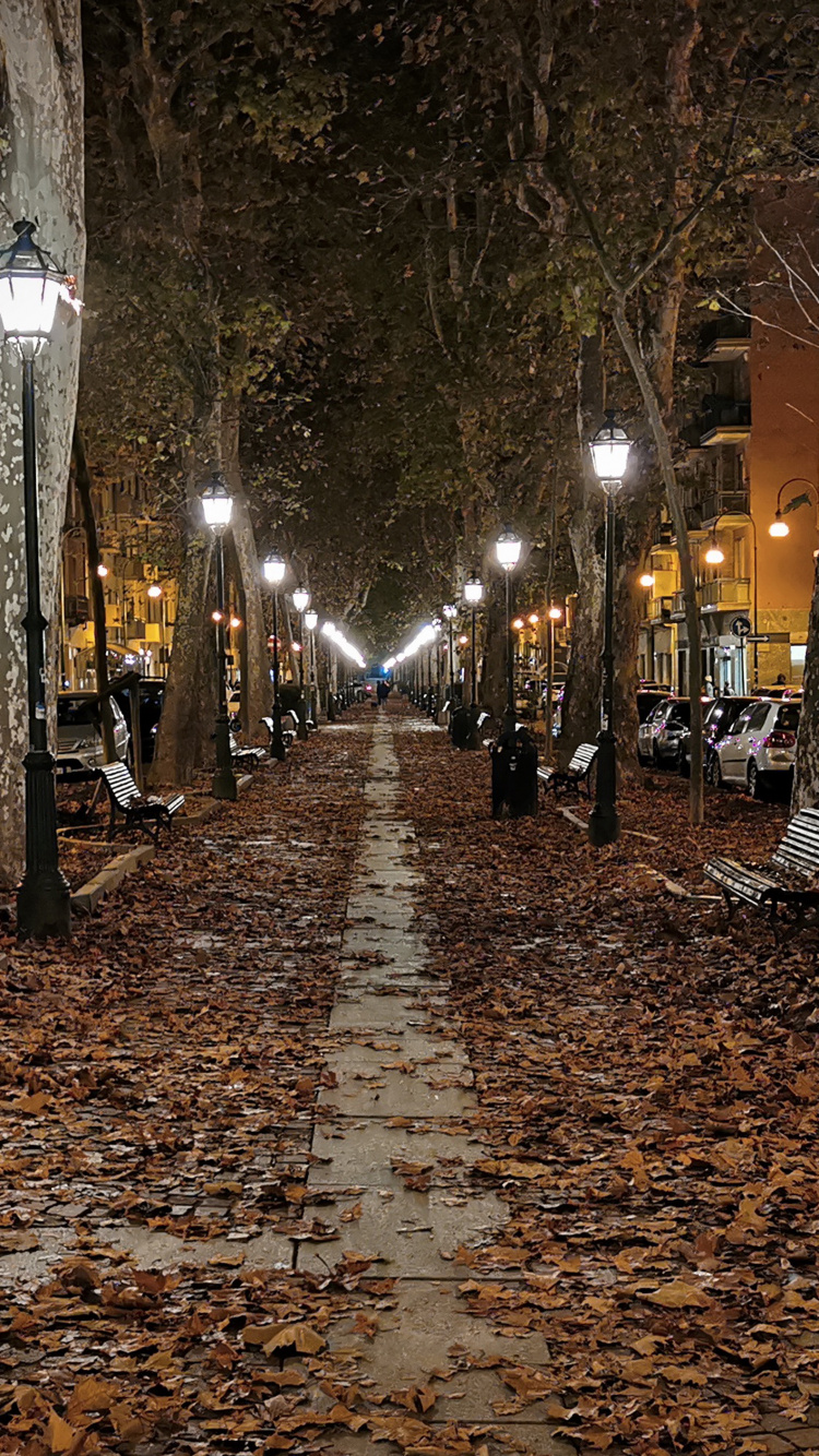 Обои ночь, уличный фонарь, дорожное покрытие, лист, растение в разрешении 750x1334